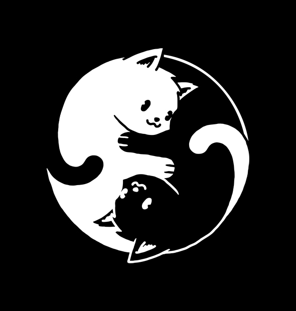 Camiseta Gatos
