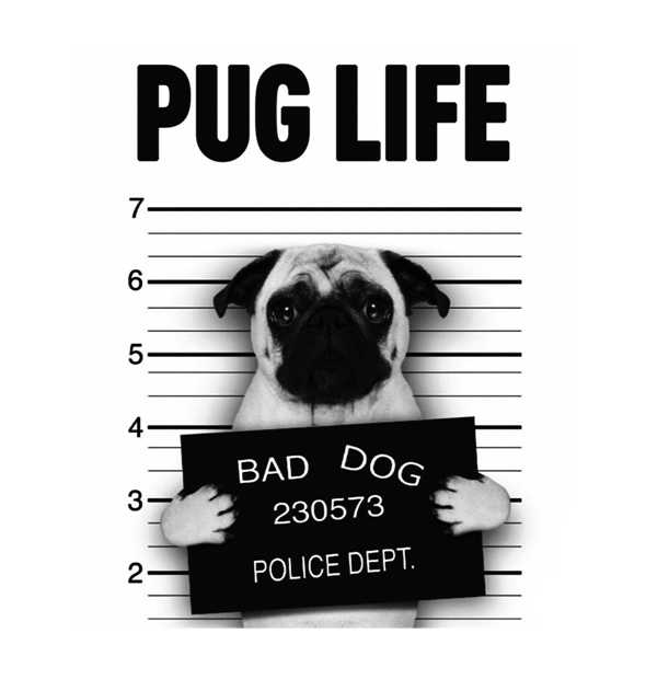 Camiseta Pug Life